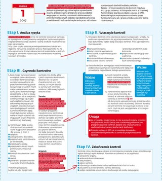 Reforma KAS: Jak będzie przebiegać kontrola celno-skarbowa