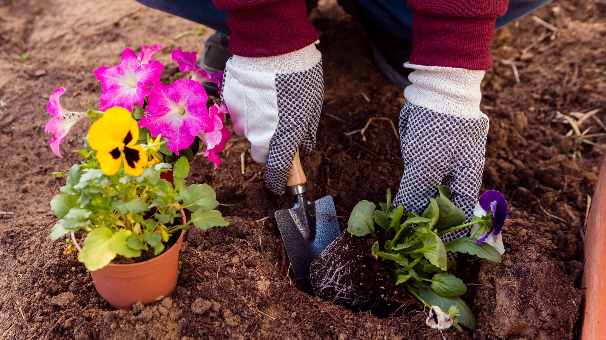 Marec je pre záhradu kľúčový mesiac. 
