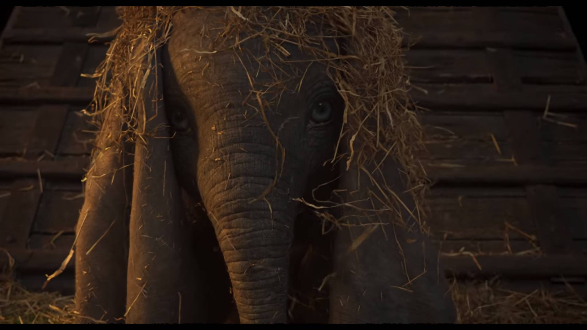 A nap híre: Kijött a Dumbo első rövid előzetese