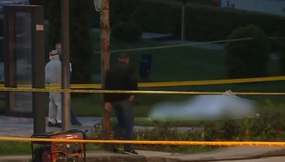 Likvidacija Miroslava Milnkovića Bate