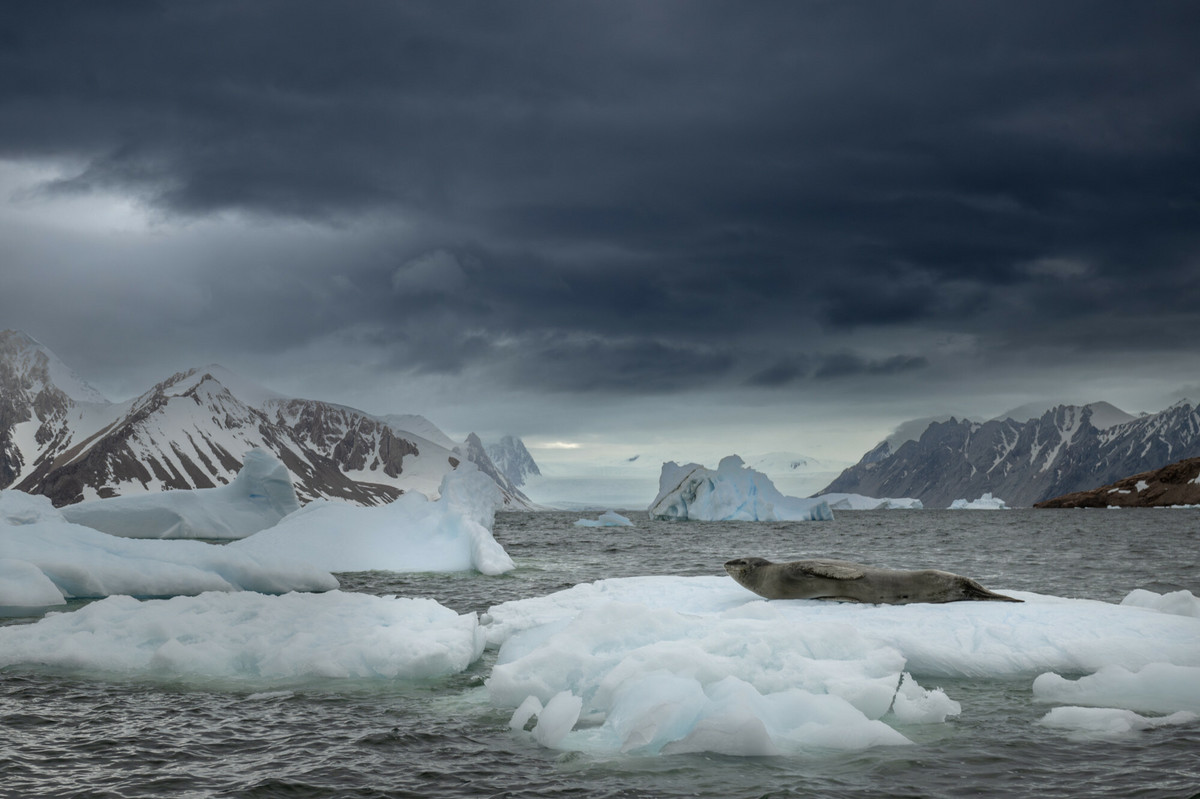 Wydobycie ropy na Antarktydzie? Zainteresowany kraj zabiera głos