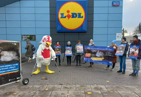 Strajki przed sklepami Lidl w Polsce. Otwarte Klatki uświadamiają klientów