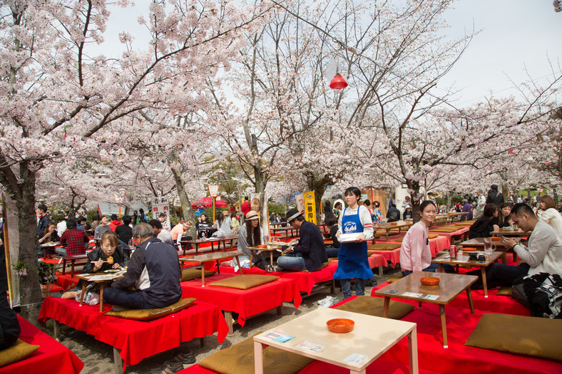 Festiwal Hanami, Kyoto