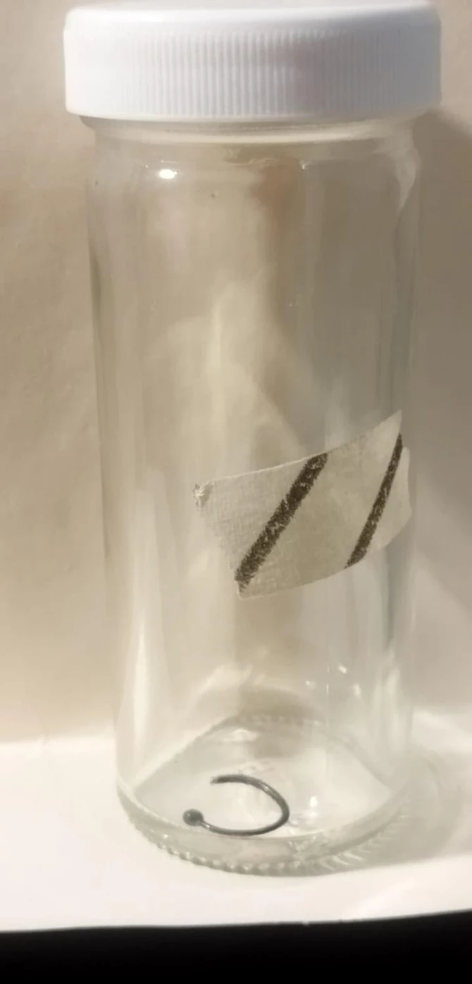 Pirsing nakon što je uspešno izvađen iz pluća