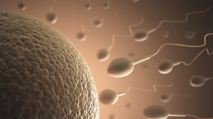 A szennyezett levegő a spermiumok számára és minőségére is kedvezőtlenül hat/Fotó: AFP