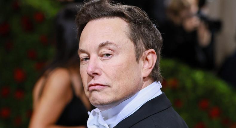 Elon Musk has owned a string of pets including a dog that bit people on the ankles and another that inspired a crypto meme coin.Theo Wargo/WireImage