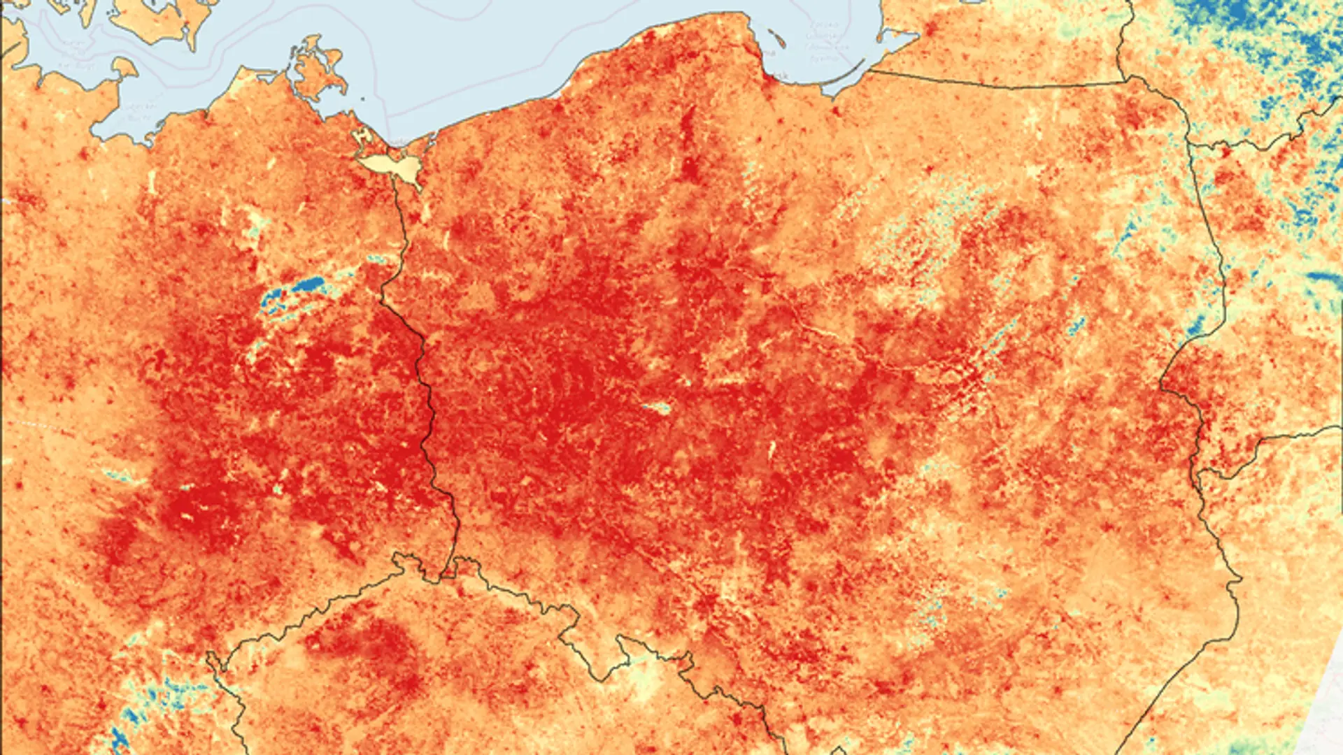 Rekordy temperatur w przyszłości będą normą. Co nas czeka? Pożary, susze, nad Bałtykiem zakwit glonów