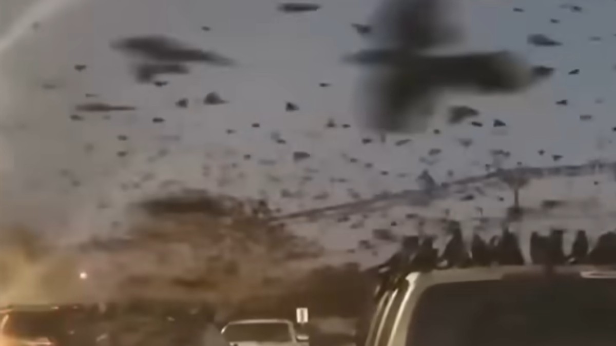 Apokaliptične scene u Tel Avivu