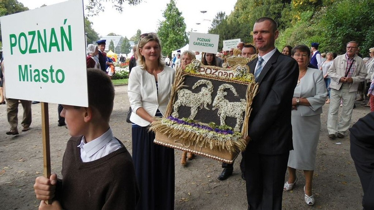 W sobotę w Parku Wilsona na poznańskim Łazarzu odbędzie się święto plonów, w trakcie którego zaplanowano m.in. korowód dożynkowy, obrzędy z poświęceniem bochenka chleba, a także wystawa królików, gołębi i drobiu ozdobnego. Organizatorzy przygotują również wiosnę ginących zawodów, a w niej warsztat garncarski, świecownika i kowala. Z kolei w niedzielę w Buku odbędą się wielkopolskie dożynki.