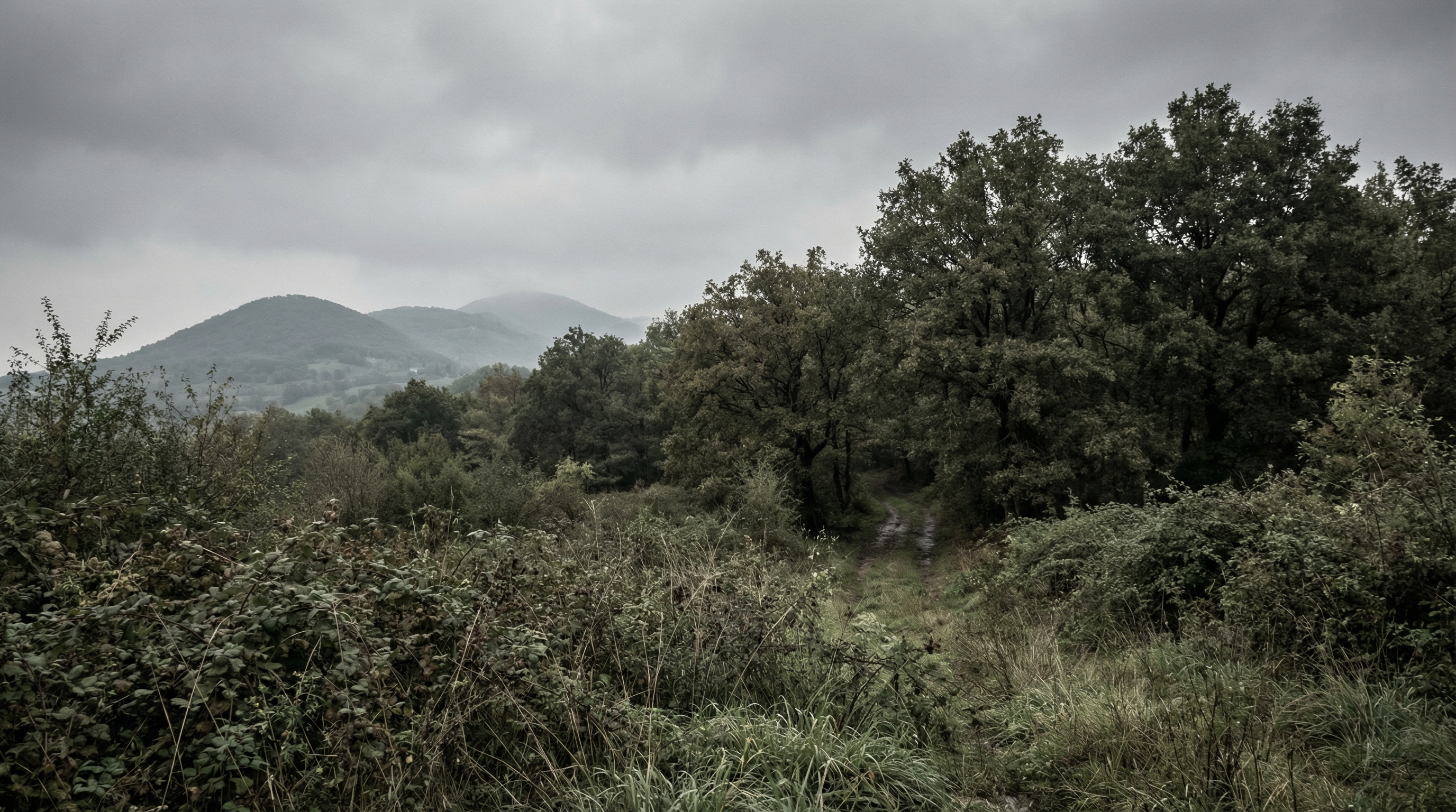 Annabella Martinelli ritrovata morta dopo 9 giorni: ipotesi suicidio