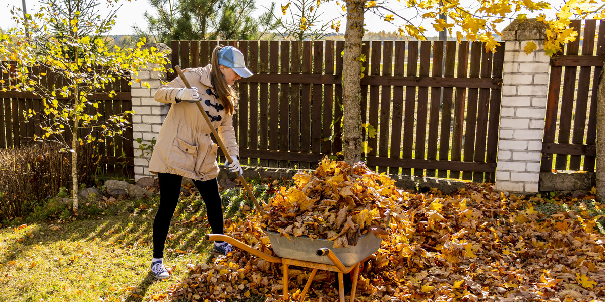 Young woman having fun throwing while cleaning maple autumn leaves in the garden