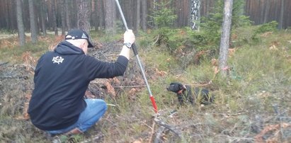 Zwyrodnialec odpowie za znęcanie się nad suką i szczeniętami