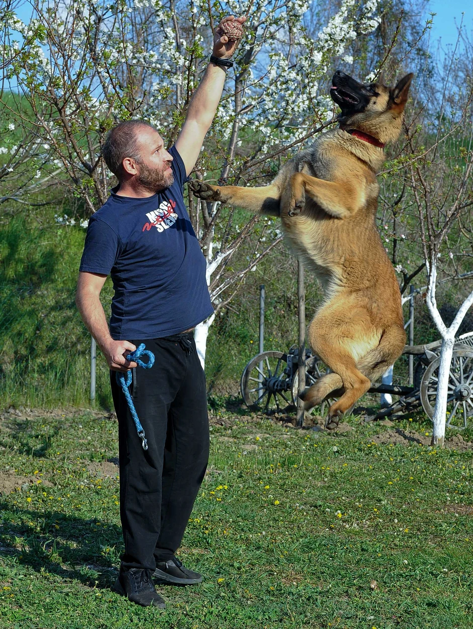 Milošu društvo u samoizolaciji pravio pas Maks