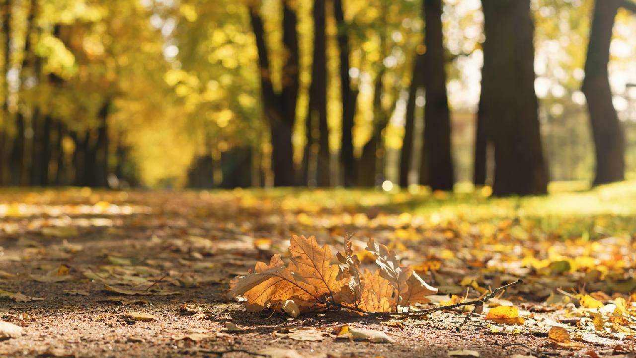 Temperaturi de -5 grade Celsius la munte, dimineața și peste 27 grade Celsius, în timpul zilei, în vestul țării Prognoza meteo ANM pentru perioada 4-11 octombrie 2026