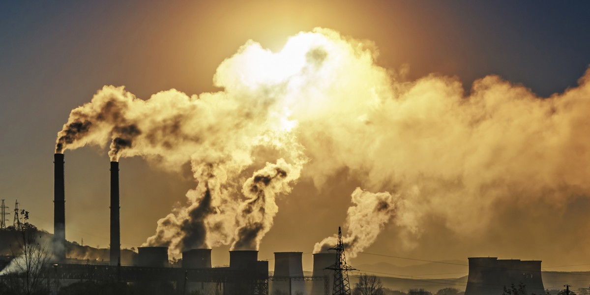 Wciąż duża liczba firm nie planuje zmniejszać swojego śladu węglowego.