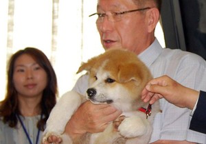 263522_norihisa-satake-guverner-akite-sa-psom-jume-za-putina-afp