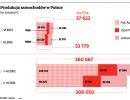 Produkcja samochodów w Polsce