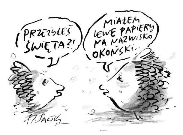 święta boże narodzenie karp sawka