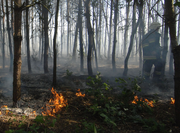To strażak podpalał lasy i łąki
