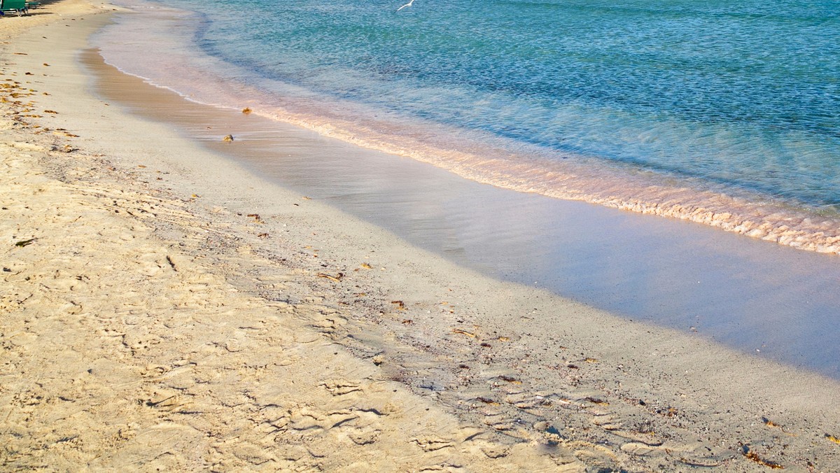 Stowarzyszenie włoskich partyzantów zażądało dzisiaj natychmiastowego odebrania koncesji zarządcy nadmorskiej plaży w Chioggii koło Wenecji. Na tej płatnej plaży, nazwanej "faszystowską", znajdują się hasła apologii dla faszyzmu i reżimu Mussoliniego.