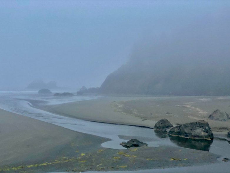 Mglisty poranek na Moonstone Beach