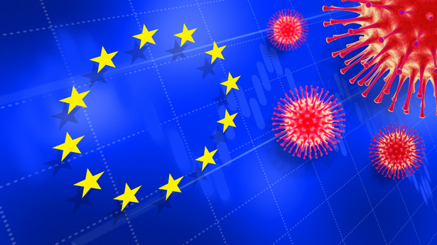 Rzecznik francuskiego rządu przypomniał, że od miesięcy we Francji obowiązują już restrykcje wobec przyjazdów spoza Unii Europejskiej.