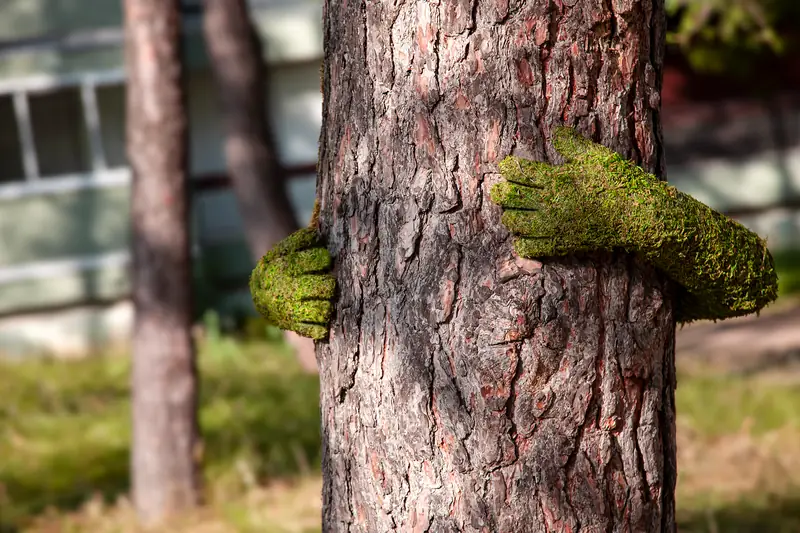 &quot;TREE HUG&quot;, Monsieur Plant