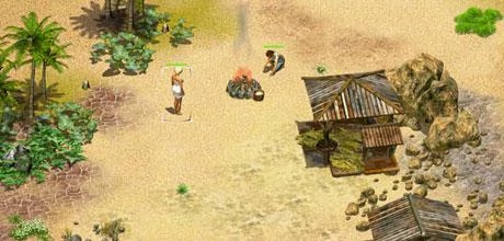 Screen z gry "Lost Island"