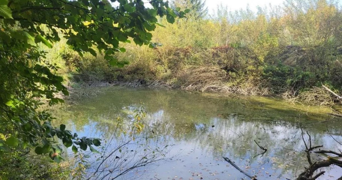 Kraków kupuje działkę na Zakrzówku za 1,43 mln zł. Powstanie większy park leśny