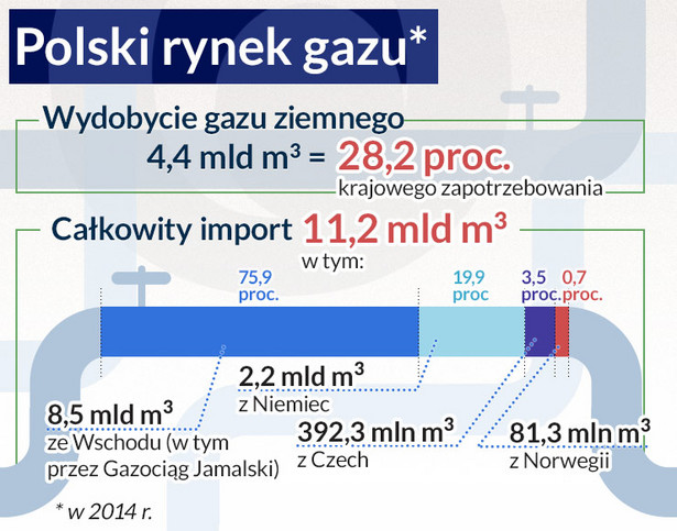 Polski rynek gazu (infografika Dariusz Gąszczyk)
