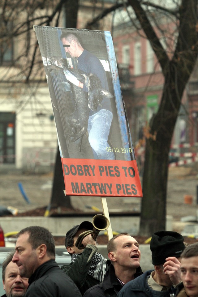 KIELCE MANIFESTACJA SCHRONISKO DLA ZWIERZĄT