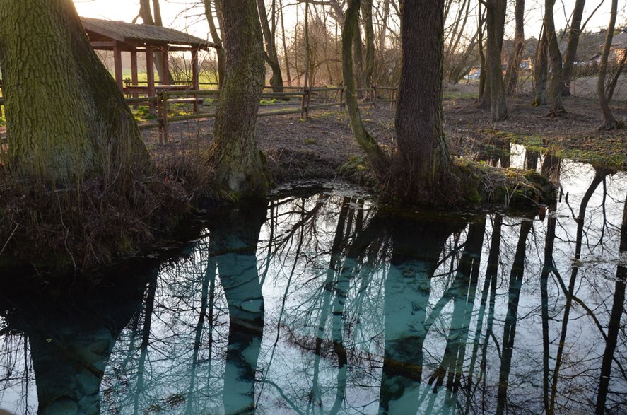 Dłubniański Park Krajobrazowy, źródło Jordan.