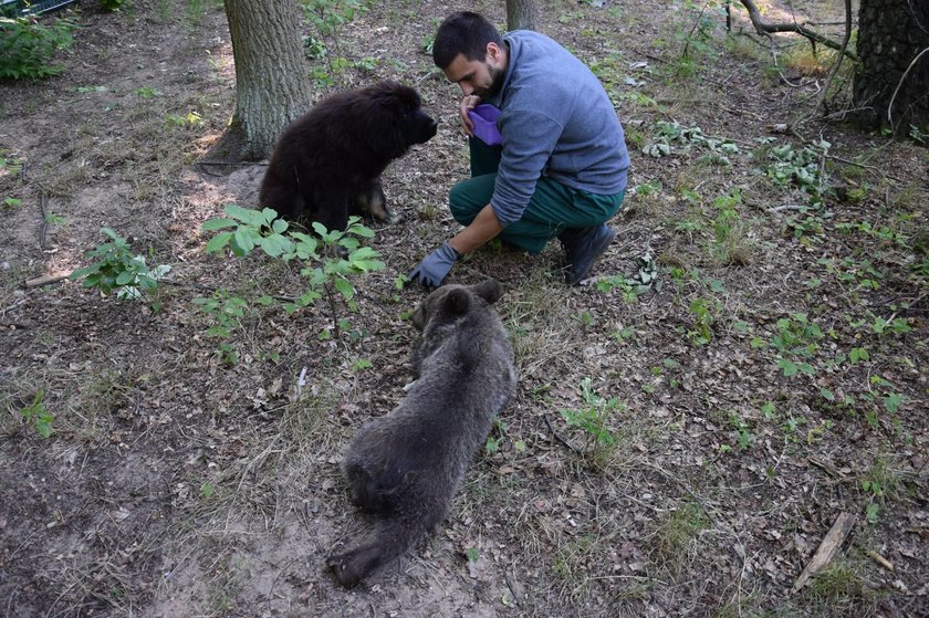 Zoo zatrudni nowych pracowników