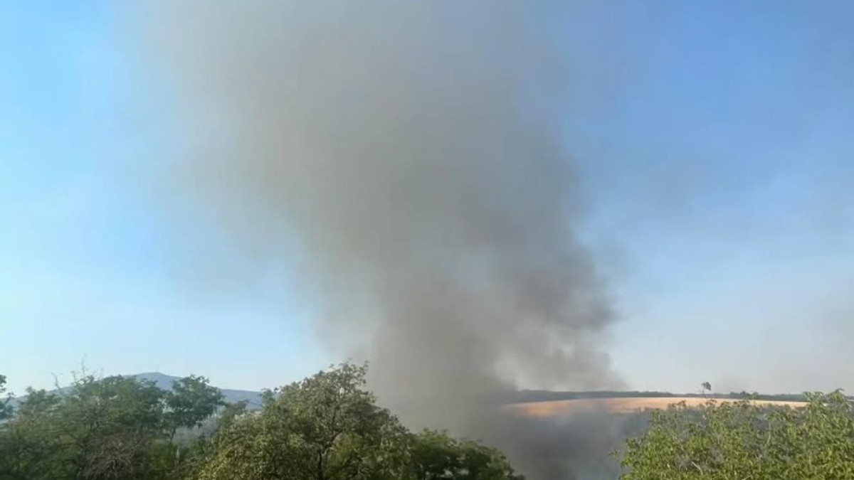 Požar u Ripnju