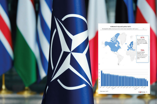 Jak obywatele państw NATO solidaryzują się z sojusznikami?
