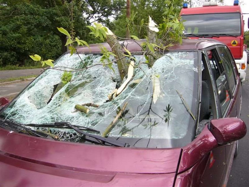 Drzewo przebiło auto! Cudem żyją. FOTO!