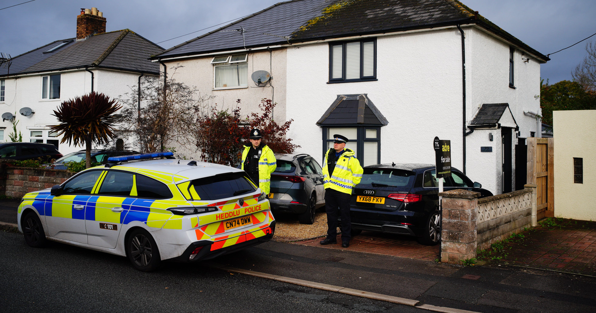 9-month-old baby killed in XL bully attack - 2 arrested in South Wales
