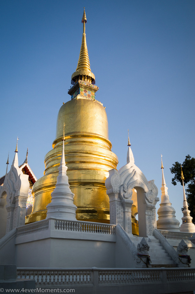 Wat Suan Dok