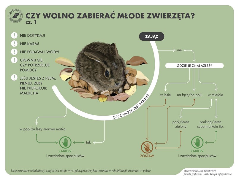 Czy wolno zabierać młode zwierzęta?