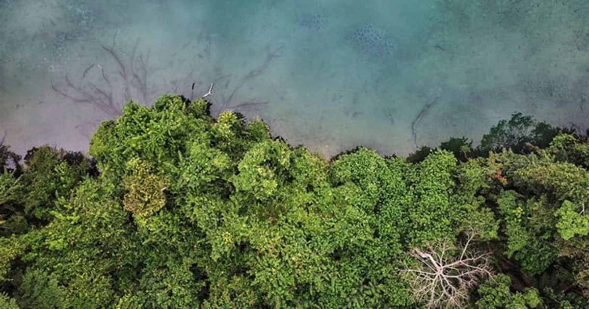 Three African countries eye $500 million debt-for-nature deals