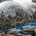 Amazon zbuduje drugą gigantyczną siedzibę. Niewiadomą pozostaje na razie jedna ważna rzecz