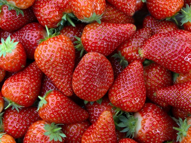 Jagode