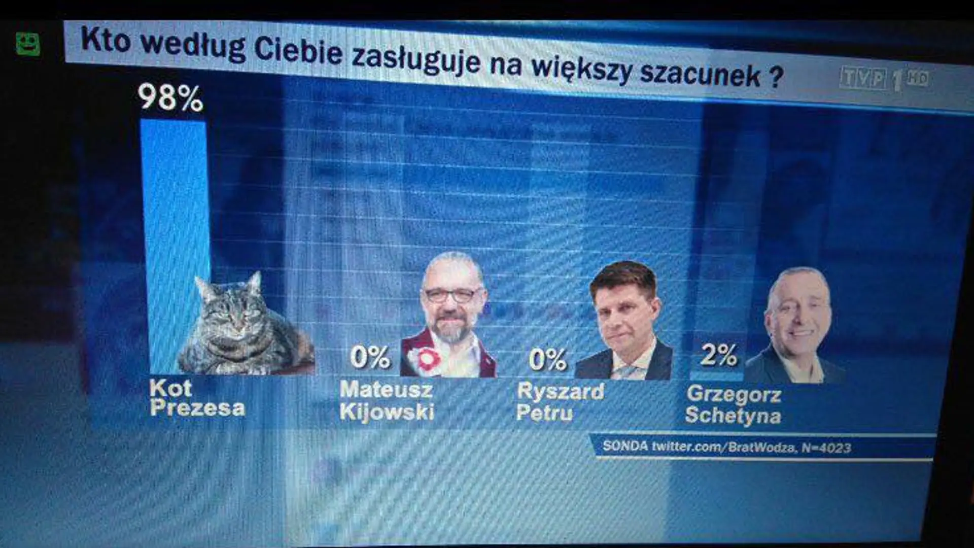 Kot prezesa z większym szacunkiem niż opozycja? Zaskakujący sondaż w "Wiadomościach" TVP