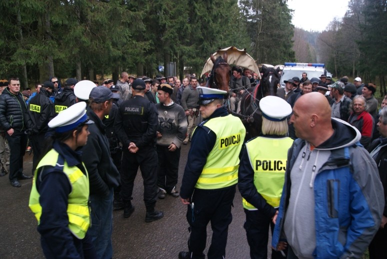 Fiakrzy rozpędzili protest obrońców zwierząt