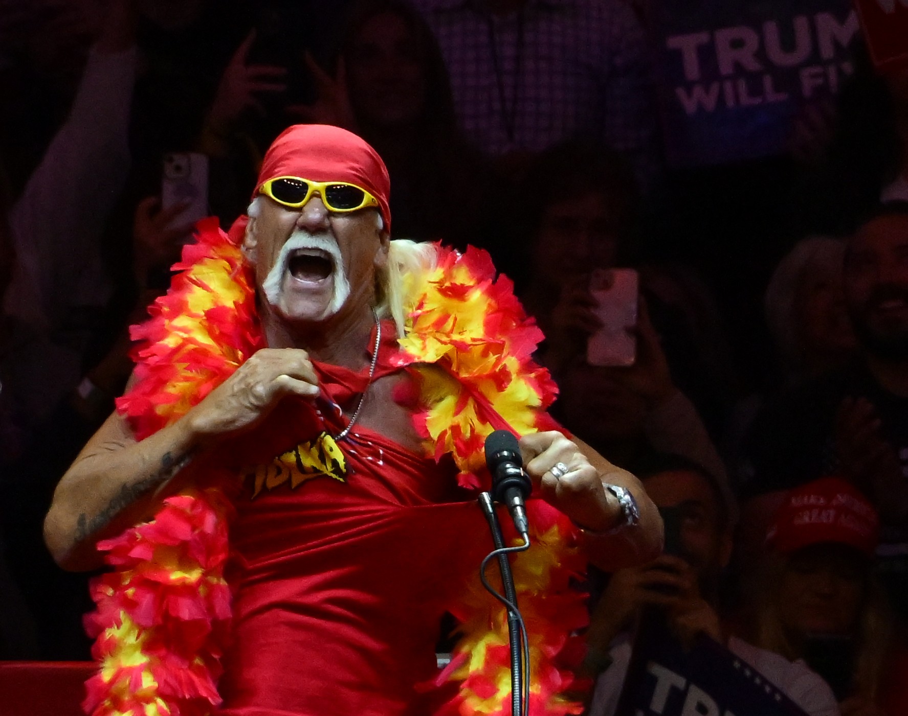 Legendárny wrestler a americký herec Hulk Hogan.