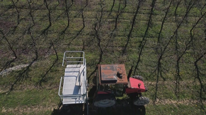 Borko otkriva tajnu rakije viljamovke koja je među najboljim na svetu