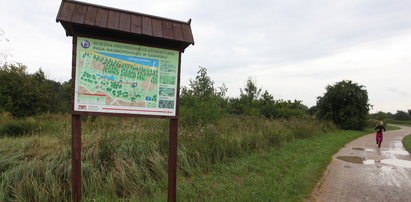 Wielki festyn w Gdańsku. Otwierają nowy park