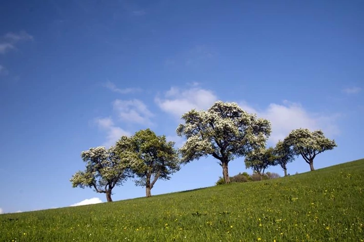 12. Miej kontakt z naturą