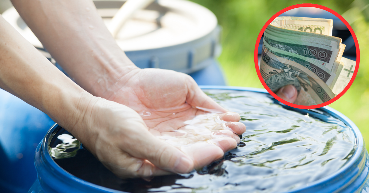 10 000 zł za zbieranie deszczówki. Rusza nowy nabór wniosków