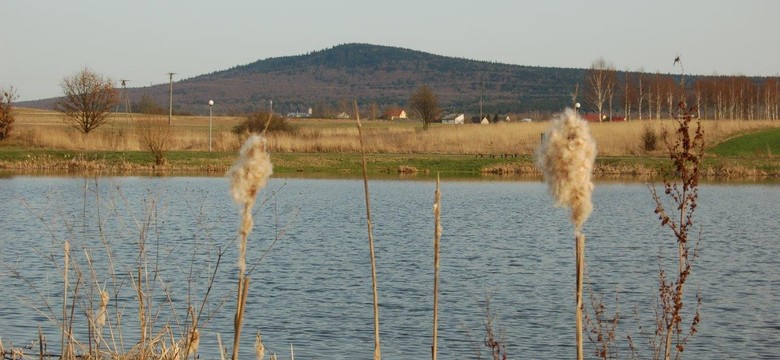 Przemaszerują 75 kilometrów